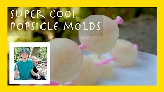 Some Super Fun Kid-Friendly Popsicle Molds