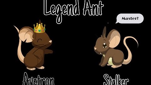 Ant hack Stalker  //Module Batata// Transformice