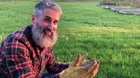 Starting My Echo CS-310 Chain Saw