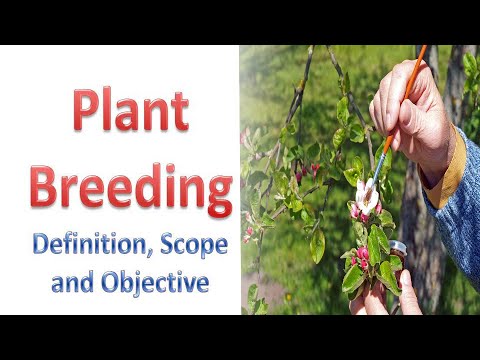 Plant Breeding Lecture 01: Definition, Scope and Objectives [Bangla with  English subtitle]