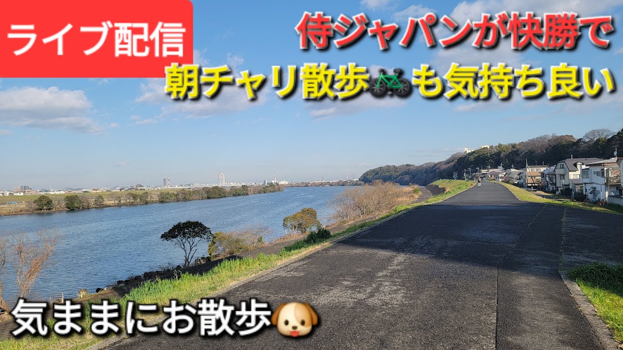 【ライブ配信】侍ジャパンが快勝で朝チャリ散歩🚲も気持ちが良い⚾️気ままにお散歩🐶Shinsuke Handyman がライブ配信中！