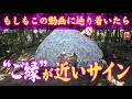 【⚠️強制開運】※見たら1分以内に再生して下さい⚠️もし逃したら二度とありません※切りたい縁を切り、新しい良いご縁を結ぶ【境界石】🌈✨⛩️茨城県大甕神社【遠隔参拝】【リモート参拝】