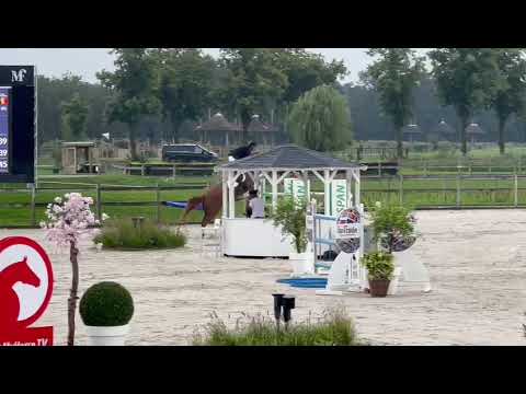 Igor - CSI1 Kronenberg - JO - 19 08 2023 Igor - CSI1 Kronenberg - JO - 19 08 2023