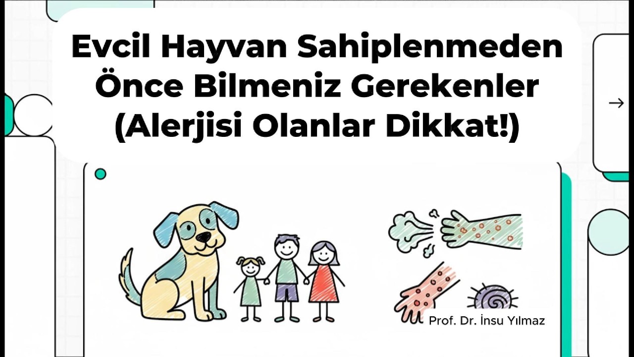 Evcil Hayvan Sahiplenmeden Önce Bilmeniz Gerekenler (Alerjisi Olanlar Dikkat!)