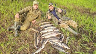 видео: НЕ ЗРЯ ПРИШЛИ СЮДА! ПОЙМАЛИ УДАЧУ ЗА ХВОСТ / ЗА ЧАС 30 КИЛОГРАММ ЩУКИ НА СПИННИНГ / РЫБАЛКА НА ОЗЕРЕ картинка: НЕ ЗРЯ ПРИШЛИ СЮДА! ПОЙМАЛИ УДАЧУ ЗА ХВОСТ / ЗА ЧАС 30 КИЛОГРАММ ЩУКИ НА СПИННИНГ / РЫБАЛКА НА ОЗЕРЕ