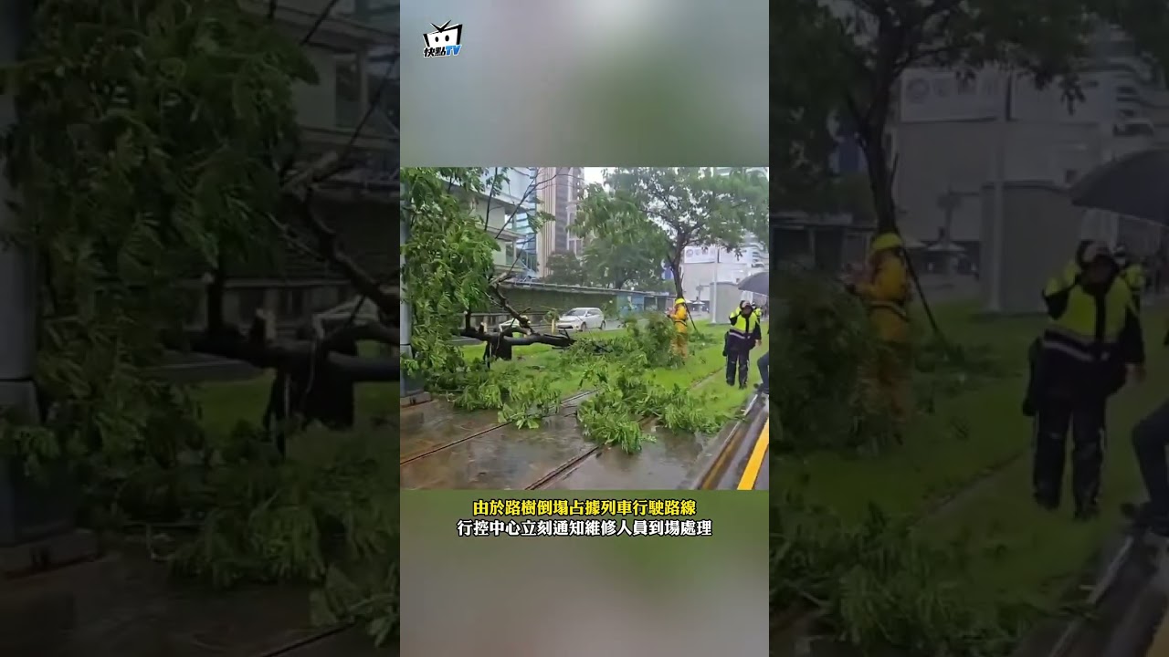 高雄輕軌被樹砸毀  多個行政區列入淹水警戒#shorts