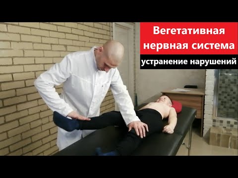 Устранение нарушений в работе вегетативной нервной системы. Прикладная кинезиология.