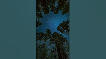 Thumbnail of Starry Night in the Forest — Sleep Mus #meditationmusic #relaxnightjazz
