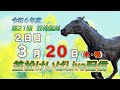 笠松けいばライブ配信R7.03.20