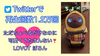 TwitterでバズったLOVOTが謎の連呼 #shorts #lovot #robot #japan