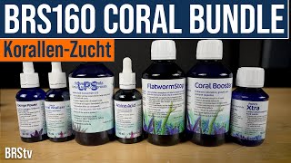 The Special Korallen Zucht Bundle That Made the BRS160 What Can the BRS160 Coral Bundle Do For You