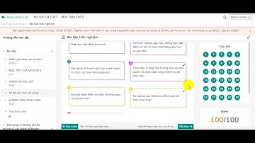 Đáp án trắc nghiệm cuối khóa Module 4 môn Toán THCS