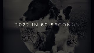 2022 In 60 Seconds