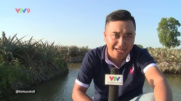 VỀ HẬU GIANG THƯỞNG THỨC KHÓM CẦU ĐÚC