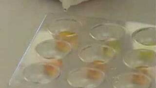 leChatelier lab