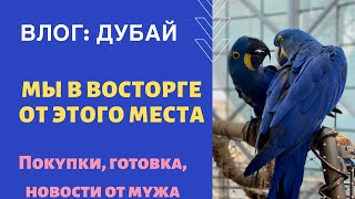 ВЛОГ: МЫ В ВОСТОРГЕ ОТ ЭТОГО МЕСТА - GREEN PLANET / ПОХУДЕЛА НА 6 КГ ЗА МЕСЯЦ