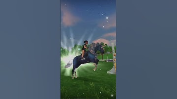 Have It All... 🦋#equestrian #sso #cool #shorts #short #starstablehorses #horse #adele #sad #edit