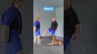 Alrick’s bite force require the most extreme set up to prevent injury.