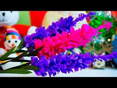 Video: Lavender Hidcote là gì: Học cách trồng hoa oải hương Hidcote trong vườn