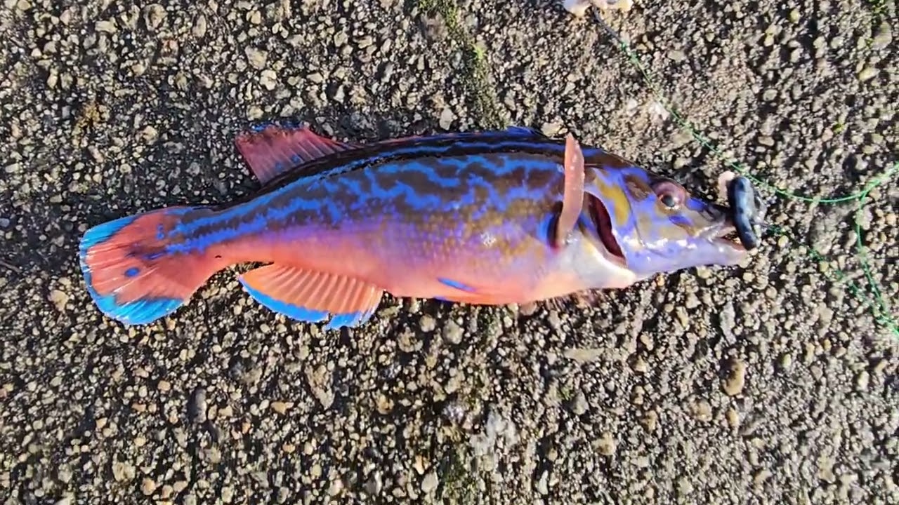 Делаем выбор. Заманчивое... 