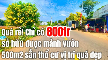 Cuối năm kẹt tiền! Chị Tư xã lỗ bán rẻ mảnh đất vườn gần 500m2 sẵn thổ cư vị trí đẹp quá. ở BRVT