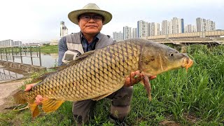 2024 Fly Fishing Ep5 - 비는 물고기를 미치게 한다. (Carp On The Fly 잉어 플라이 낚시)