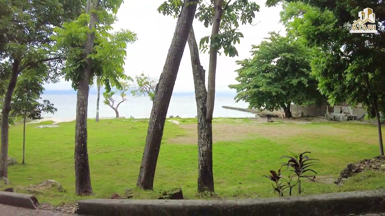 🌴 BEACHFRONT PARADISE FOR SALE IN BADIAN, CEBU! 🌊