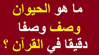 للمتزوجات فقط 🙄 اسئلة دينية ممتعة لكنهــا محرجــة جـــداً 🙈 ملحوظــة الأسئلة للكبــار فقــط!!!+18