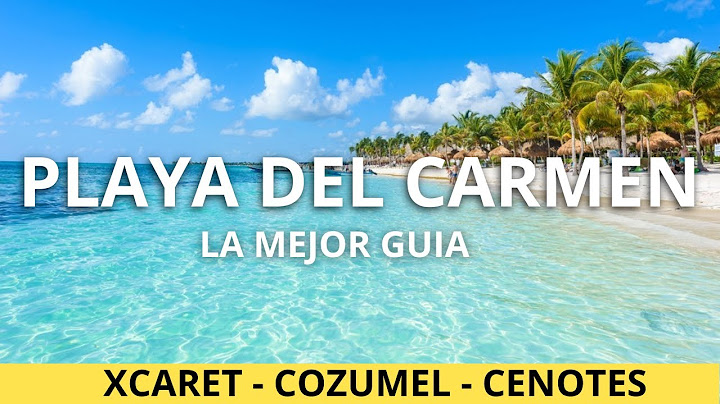 ¿QUE HACER EN PLAYA DEL CARMEN ? 🟢 La Guía MÁS COMPLETA 2025 🏝️