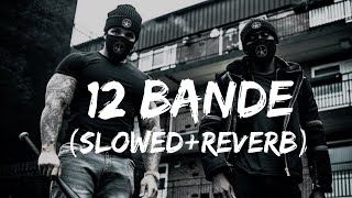 12 Bande Slowedreverb Varinder Brar