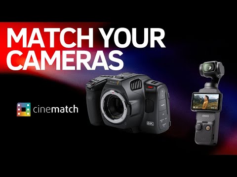 Match the DJI Pocket 3 with Blackmagic 6k Pro! #cinematography #djipocket3 #blackmagic6k