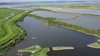 Cliffe Pools Nature Reserve