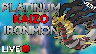 Continuing My First Ever PLATINUM KAIZO IRONMON
