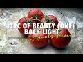 "Arc of Beauty": Lighting for Food, Still Life, and Product Photography (Part One)