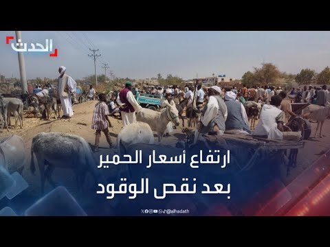 ارتفاع أسعار الحمير في السودان بعد نقص الوقود وقلة حركة السيارات