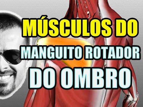 Vídeo: Anatomia Do Manguito Rotador: Músculos, Função E Imagens