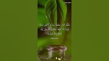 الآيات 168 ، 169 من سورة البقرة بصوت هشام مجدي