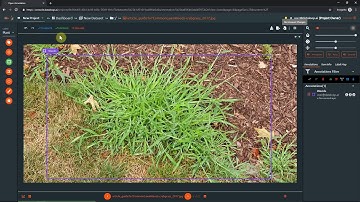 Saving, navigating and exporting annotation data | Dataloop.ai