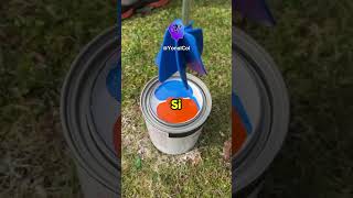 Dato Curioso Que No Sabía