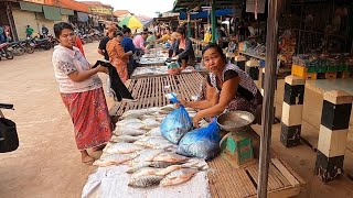 ตลาดเช้าเมืองหนองบก แขวงคำม่วน สปป.ลาว ปลาน้ำโขงหลายคัก