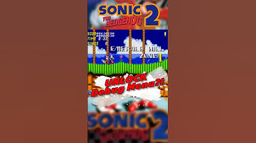 How to Unlock Debug Mode in Sonic the Hedgehog 2 (SEGA Genesis)  #retro #gaming