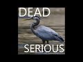 Heron Attack - Defend Your Pond!