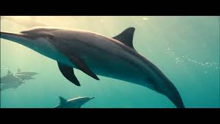 Океаны / Oceans [1080P] Документальный Фильм (2009)