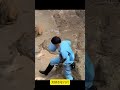 【パンチくん🐵】必死に逃げるパンチくん。最後に辿り着いた「最強の味方」に視聴者も安堵。#shorts