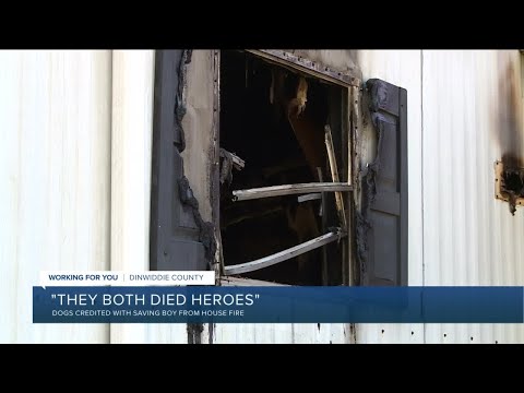 Dogs credited with saving boy from trailer fire: 'They died heroes'