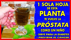 la ortiga y la próstata