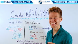 What Is Circular Rna Circrna?