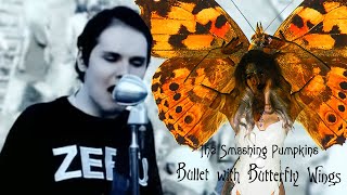 Смотреть клип The Smashing Pumpkins - Bullet With Butterfly Wings (Reality Suite Cover)