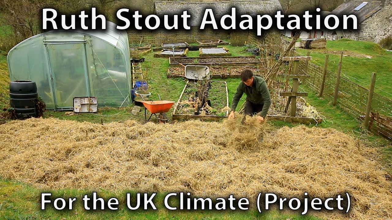 New Project Adapting The Ruth Stout Method For The Uk Climate