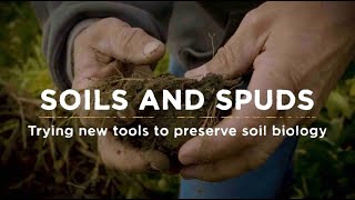 Soils and Spuds: Trying new tools to preserve soil biology